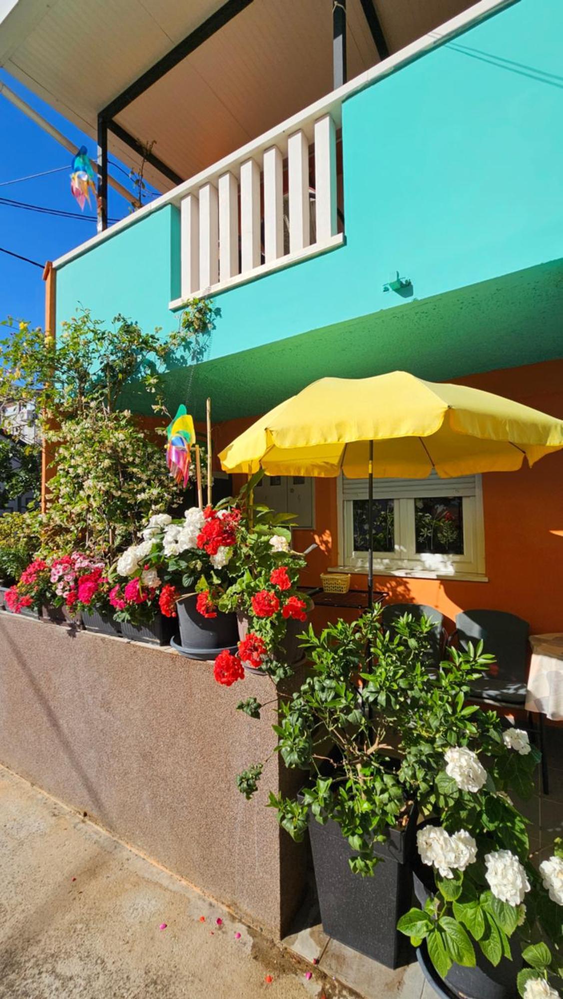 Mexicana Pink Apartment *